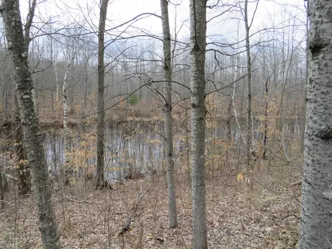M-115, Marion, MI 49665 photo 18