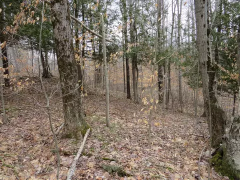 M-115, Marion, MI 49665 photo 12