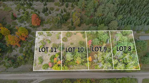 V/l Trout Creek, Cheboygan, MI 49721