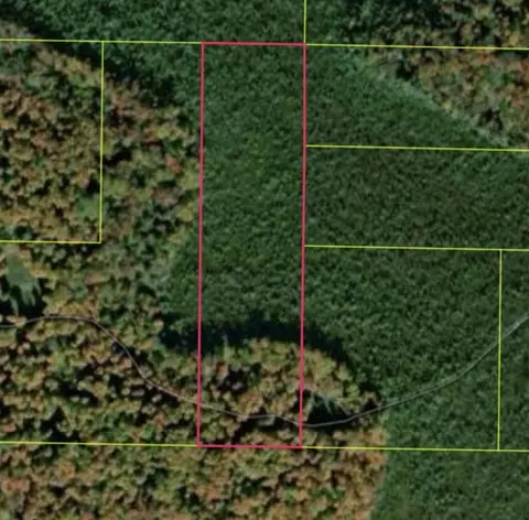 Vl Sharon, Kalkaska, MI 49646