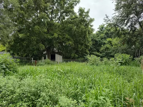 Exterior - 411 Block, Coldwater, MI 49036 photo 13 of 29