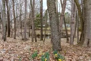 Other - 202 Engle, Olivet, MI 49076 photo 6 of 13