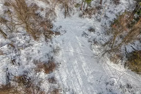 8771 Bailey, Ada, MI 49301 photo 18
