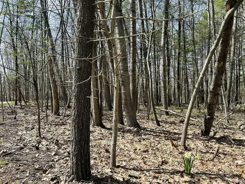 6718 Beechnut #239, Canadian Lakes, MI 49346