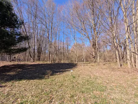 6465 Fox Den #197, Custer, MI 49405