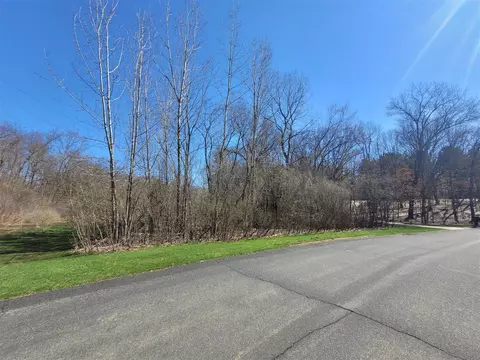 V/l Marsh Ridge, Augusta, MI 49012 photo 4