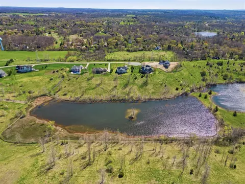 4596 Lake Vis, Dexter, MI 48130 photo 19