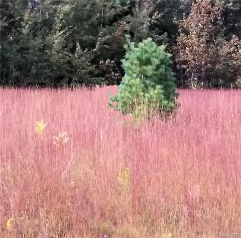 Westwood, Oscoda, MI 48750