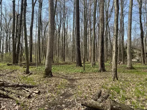 Waterloo Munith, Grass Lake, MI 49240