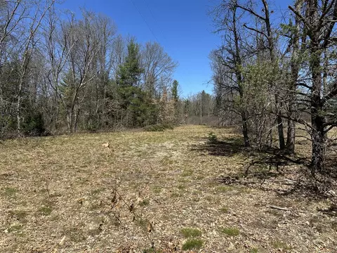 00 S Dillard, Baldwin, MI 49304 photo 18