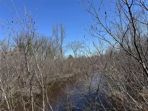 00 S Dillard, Baldwin, MI 49304 photo 12
