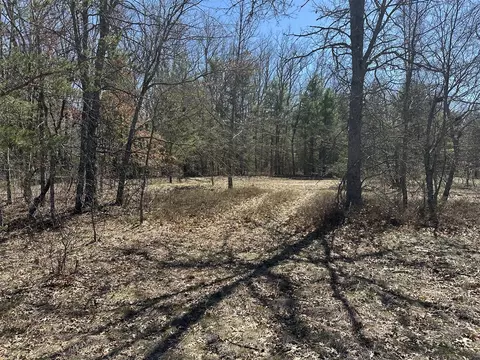 00 S Dillard, Baldwin, MI 49304 photo 22