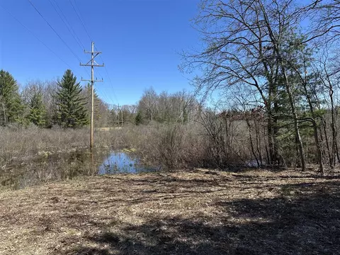 00 S Dillard, Baldwin, MI 49304 photo 16