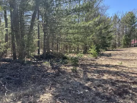 00 S Dillard, Baldwin, MI 49304 photo 11