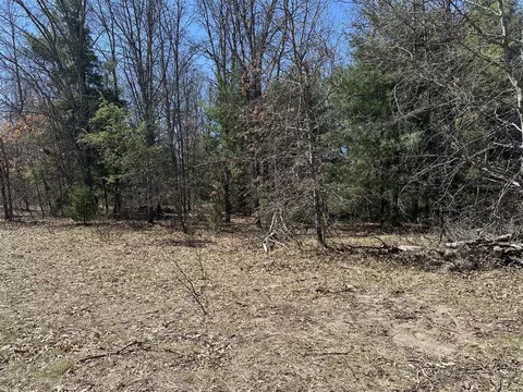 00 S Dillard, Baldwin, MI 49304 photo 20