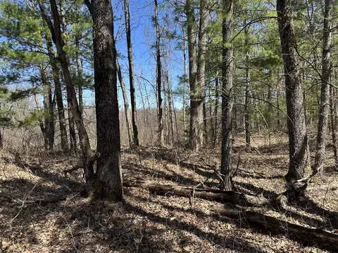 00 S Dillard, Baldwin, MI 49304