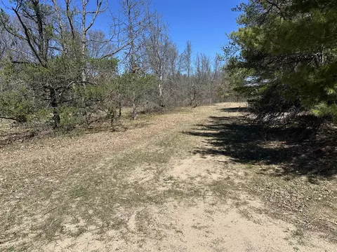 00 S Dillard, Baldwin, MI 49304 photo 25