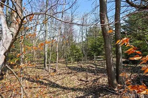 V/l N 56th, Mears, MI 49436 photo 8