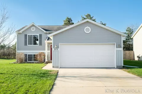 Exterior - 377 White Pne, Belding, MI 48809 photo 13 of 13