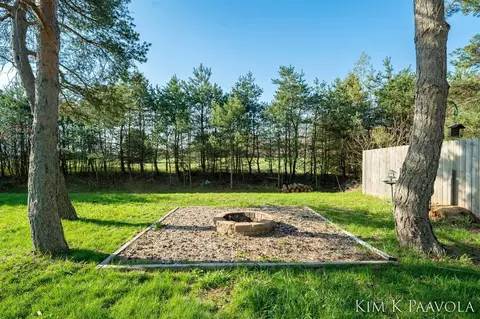Exterior - 377 White Pne, Belding, MI 48809 photo 7 of 13