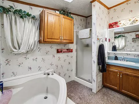 Bath - 1799 E Us 10, Custer, MI 49405 photo 2 of 3