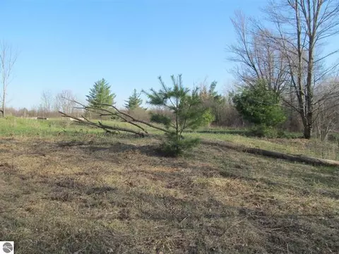 000 90th, Evart, MI 49631 photo 3