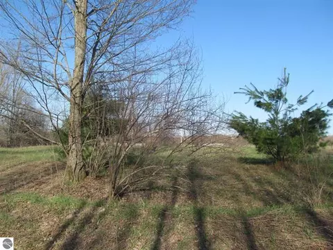 000 90th, Evart, MI 49631 photo 8