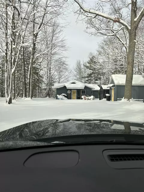 Exterior - 9341 S Oxeye, Baldwin, MI 49304 photo 21 of 21