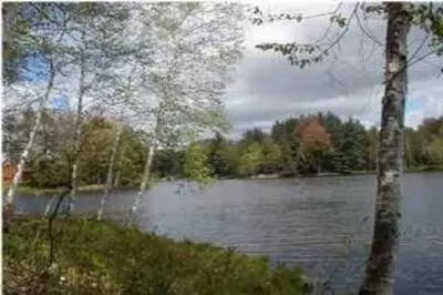 Vl Lot 811 Miramichi, Evart, MI 49631