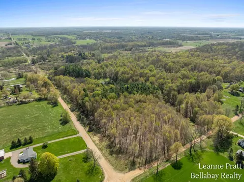 Vl N Pease, Vermontville, MI 49096