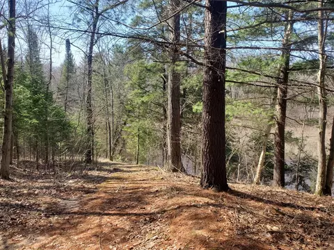 Eagles Nest Way, Gladwin, MI 48624 photo 6