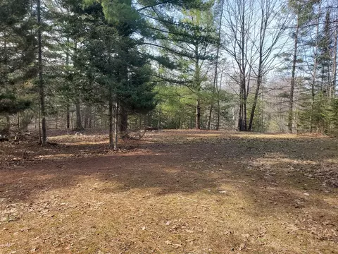 Eagles Nest Way, Gladwin, MI 48624 photo 2