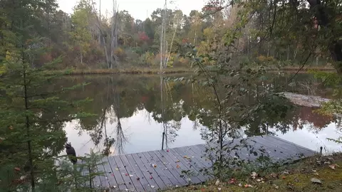 Eagles Nest Way, Gladwin, MI 48624 photo 11