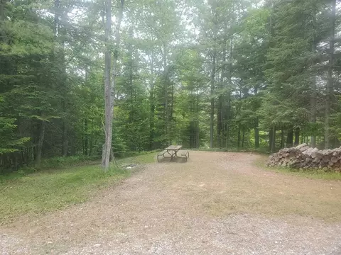 Eagles Nest Way, Gladwin, MI 48624 photo 15