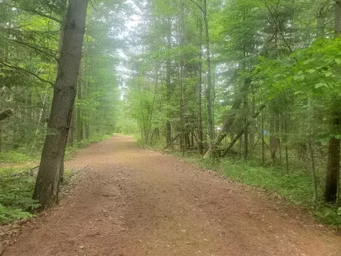 Eagles Nest Way, Gladwin, MI 48624 photo 19
