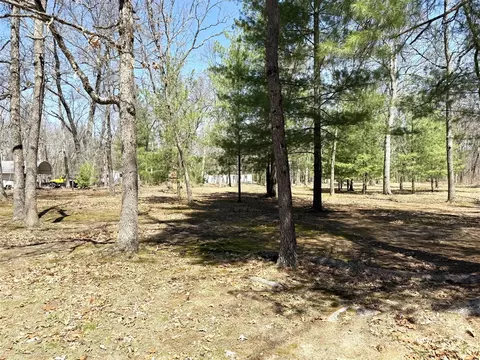 Exterior - 11881 S Winesap, Baldwin, MI 49304 photo 5 of 6