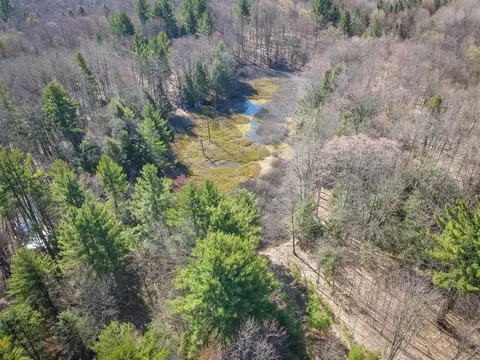 V/l E Baseline, Shelby, MI 49455 photo 28