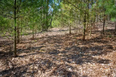 V/l E Baseline, Shelby, MI 49455 photo 11