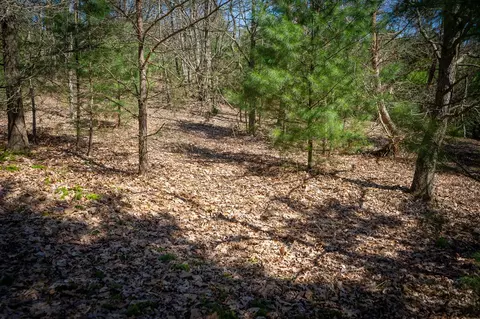 V/l E Baseline, Shelby, MI 49455 photo 18