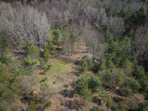 V/l E Baseline, Shelby, MI 49455 photo 27