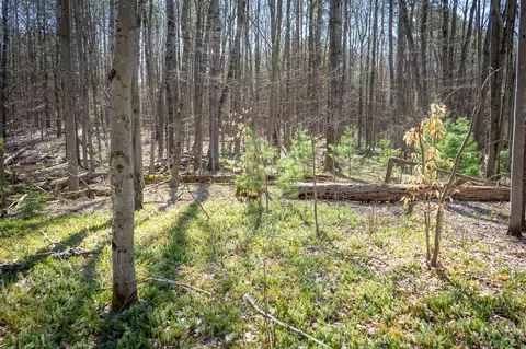 V/l E Baseline, Shelby, MI 49455 photo 19