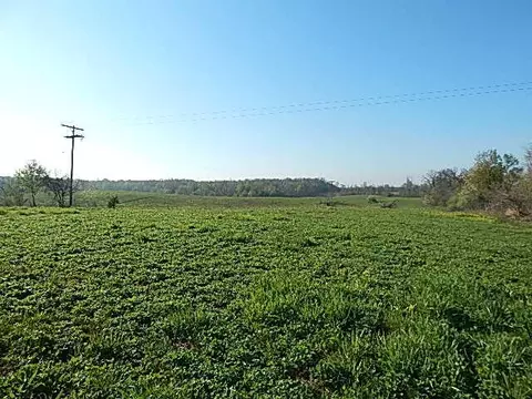 8833 W Territorial, Camden, MI 49232