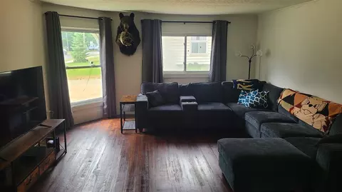 Living - 207 N State, Gobles, MI 49055 photo 1 of 4