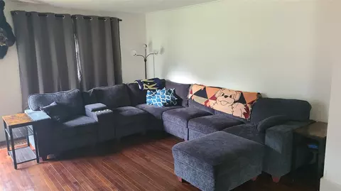 Living - 207 N State, Gobles, MI 49055 photo 3 of 4