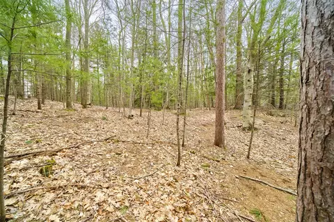 E Piney, Manistee, MI 49660 photo 15