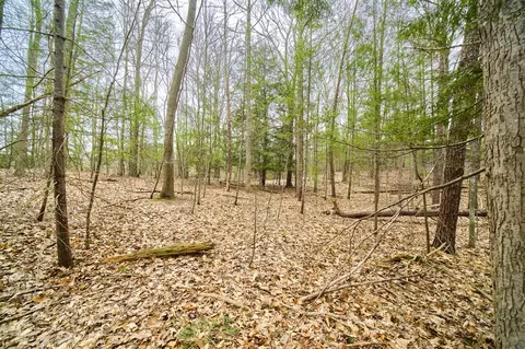 E Piney, Manistee, MI 49660 photo 5