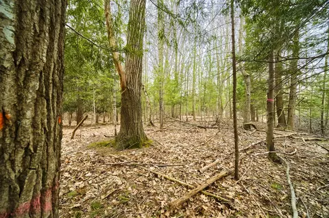 E Piney, Manistee, MI 49660 photo 16