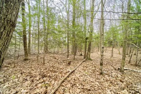 E Piney, Manistee, MI 49660 photo 17