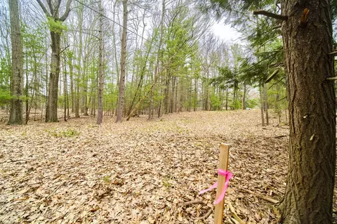 E Piney, Manistee, MI 49660 photo 6