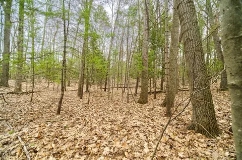 E Piney, Manistee, MI 49660 photo 20
